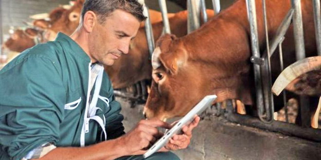 Fermieri sătmăreni, amendați de către DSVSA