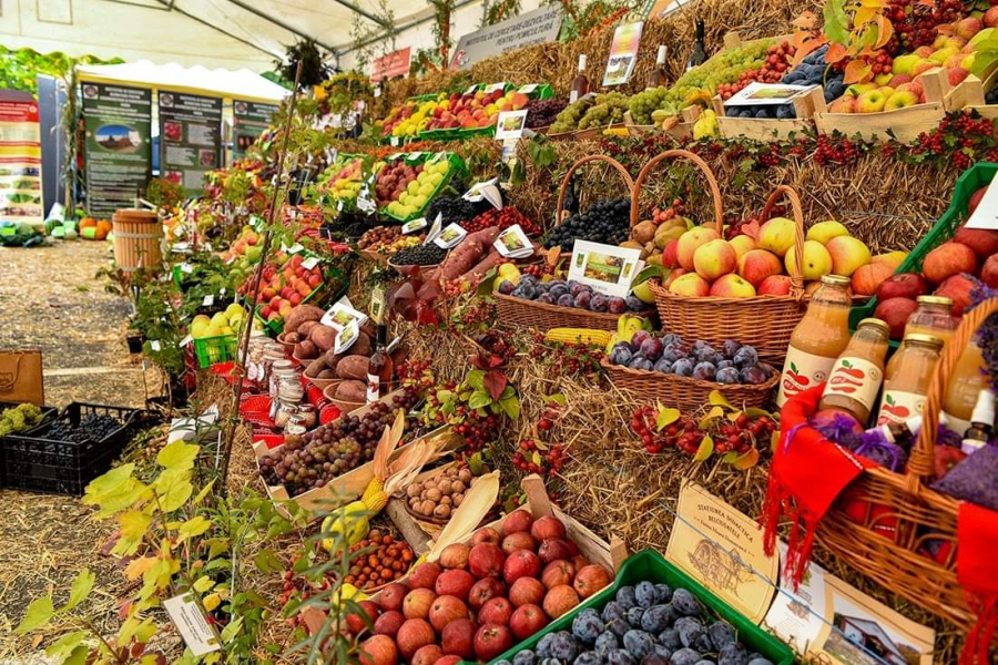 Întâlnirea Ansamblurilor de Dans Popular German cu ocazia Serbării Recoltei