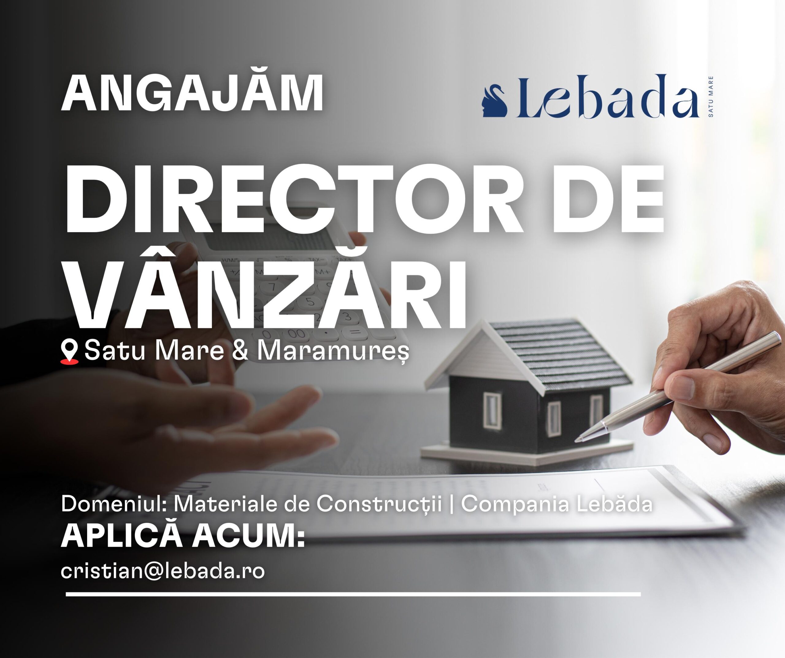 Compania Lebăda angajează Director de Vânzări – Domeniul Materialelor de Construcții pentru două județe