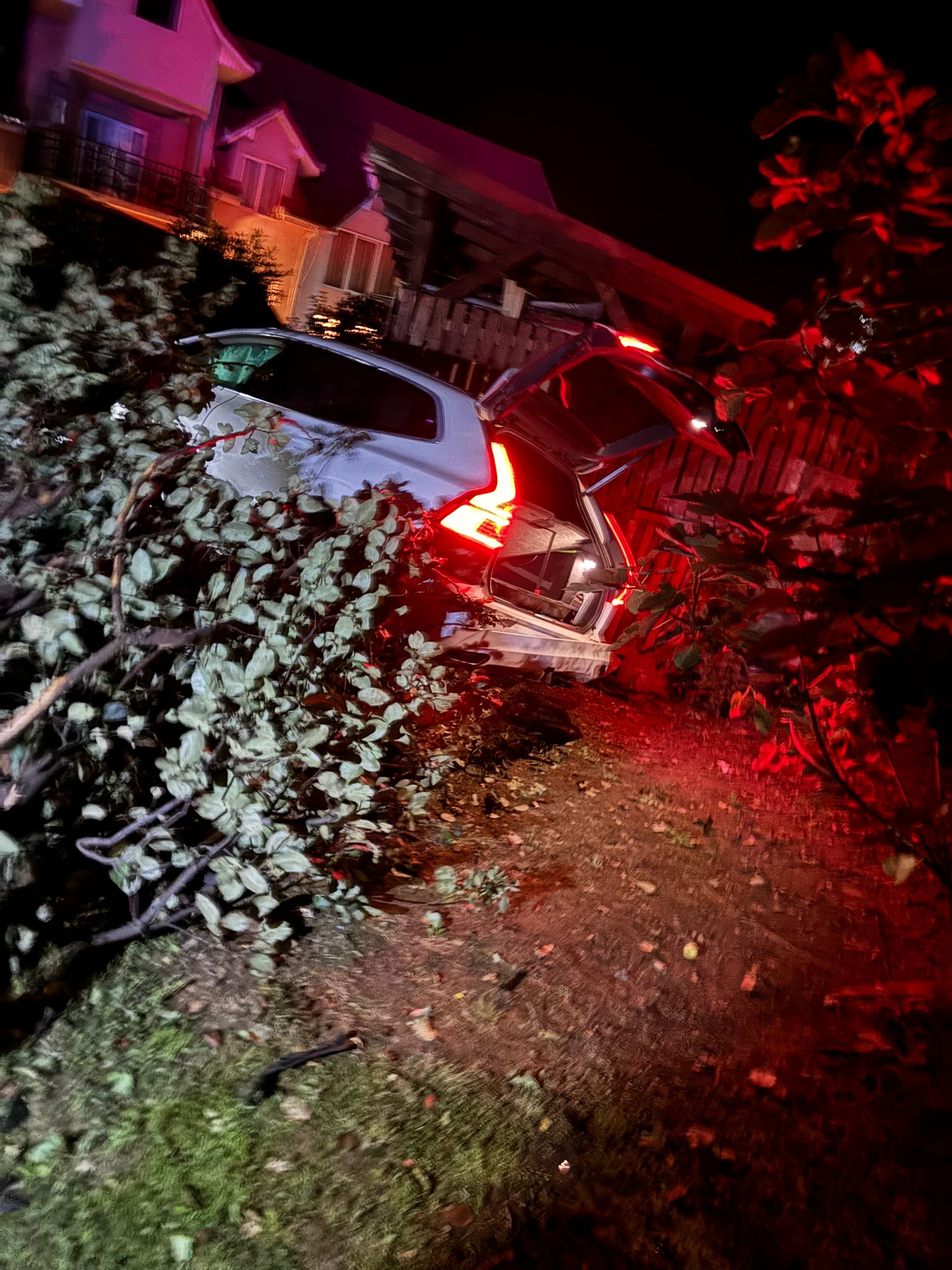 VIDEO! Primele imagini cu tânărul de 19 ani care a condus sub influențat alcoolului și a ajuns cu mașina în boscheți în Negrești Oaș