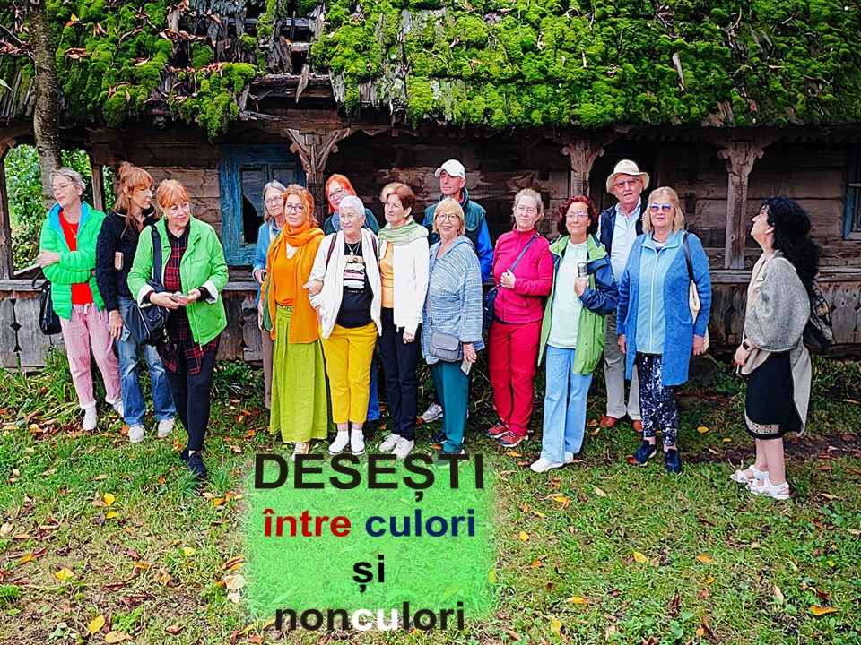 VERTICALI PENTRU ROMÂNIA: DINCOLO DE NUANȚELE GÂNDURILOR