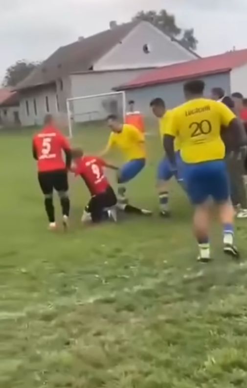 AJF Satu Mare pune piciorul în prag după bătaia de la Lucăceni