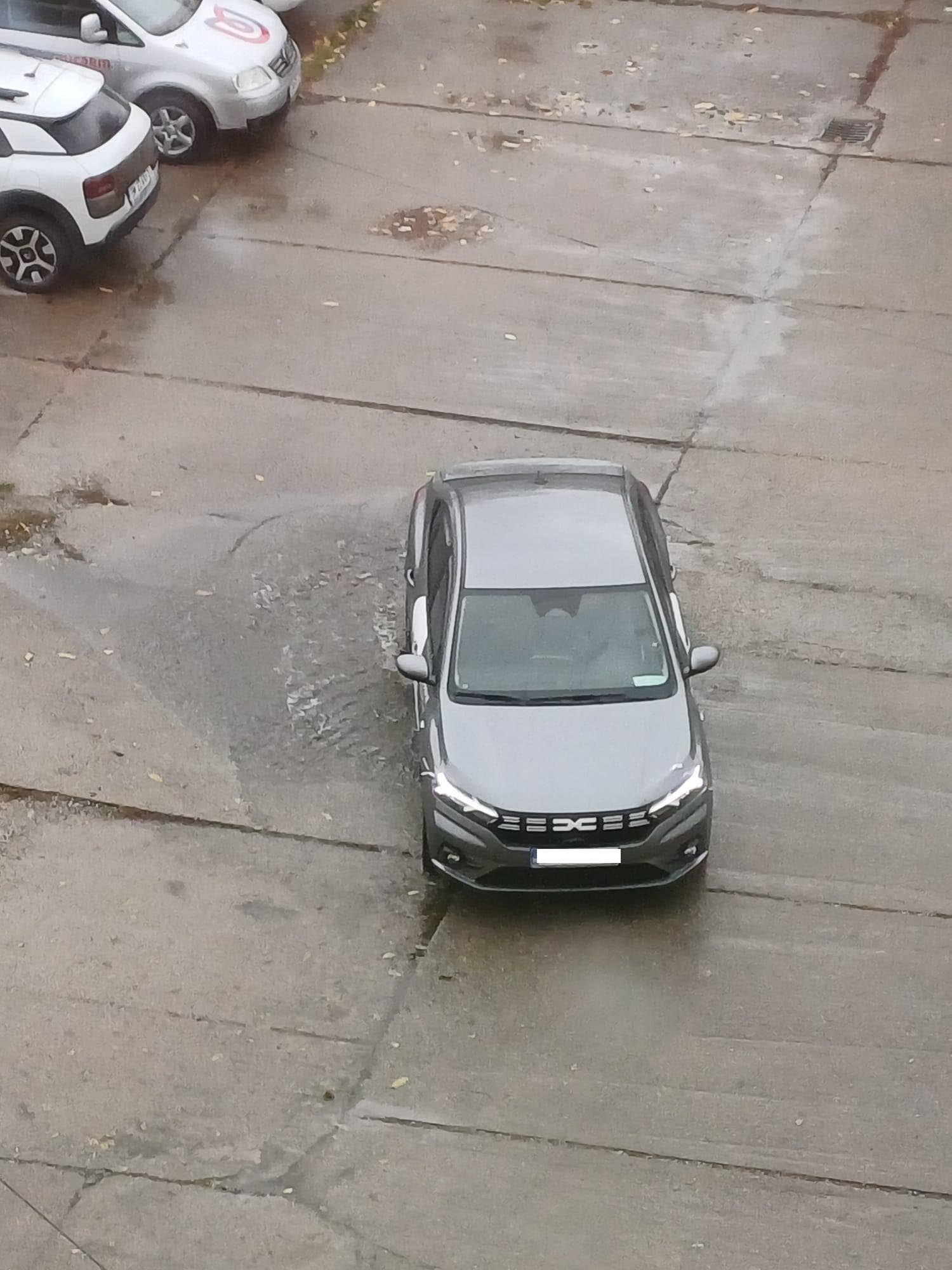 Satu Mare – orașul unde nesimțirea curge liber