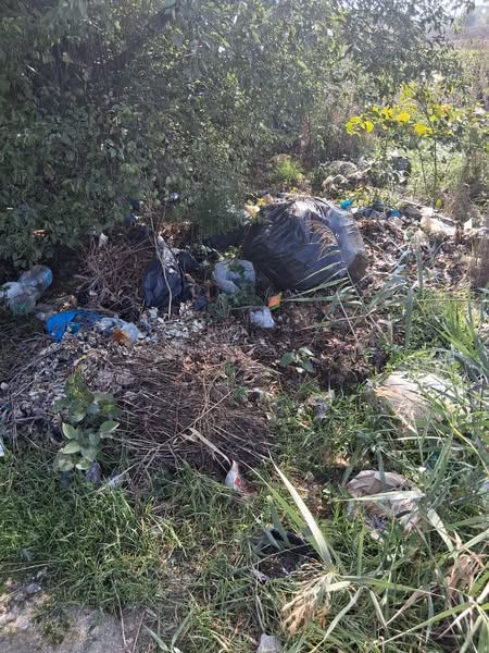 Alecu Russo, strada cu parfum de nesimțire