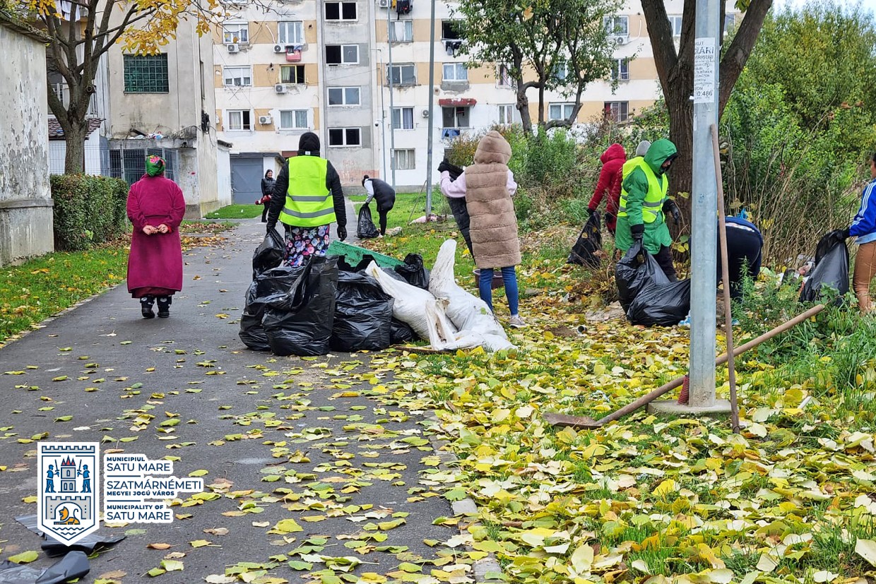 Beneficiarii de ajutor social, scoși la muncă, la Satu Mare