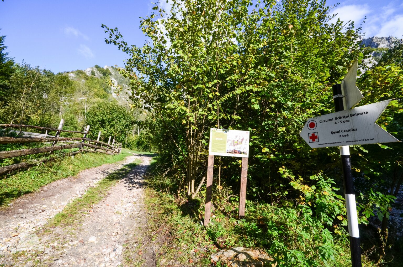 Șesul Craiului – Scărița – Belioara: Minunea Sălbatică a Apusenilor care îți taie răsuflarea