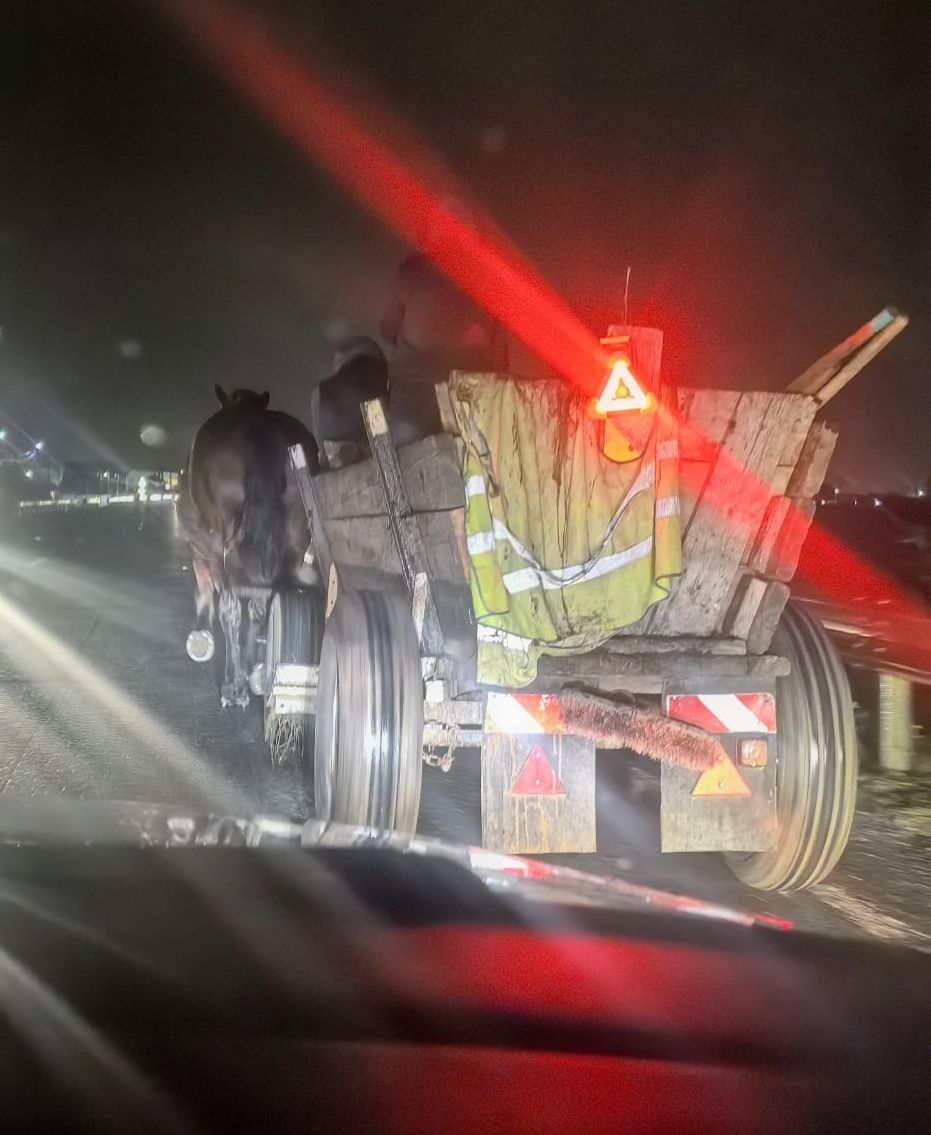 “Lumina? Nu, mulțumim!”