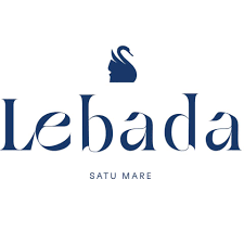 Curs gratuit cu demonstrații live Stalco – doar la Academia Lebăda!