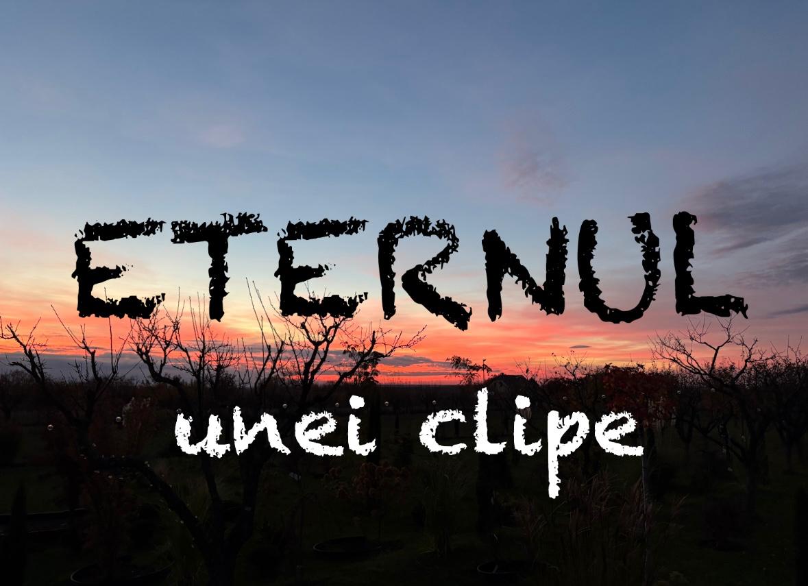 VERTICALI PENTRU ROMÂNIA: REGĂSIRI