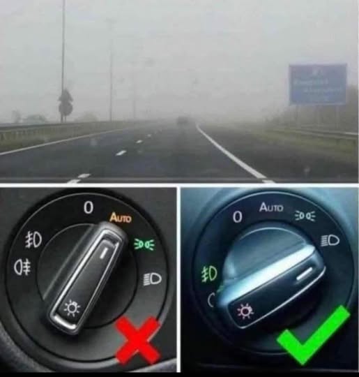 Invizibili, dar convinși: Ordinul Șoferilor care Văd Destul