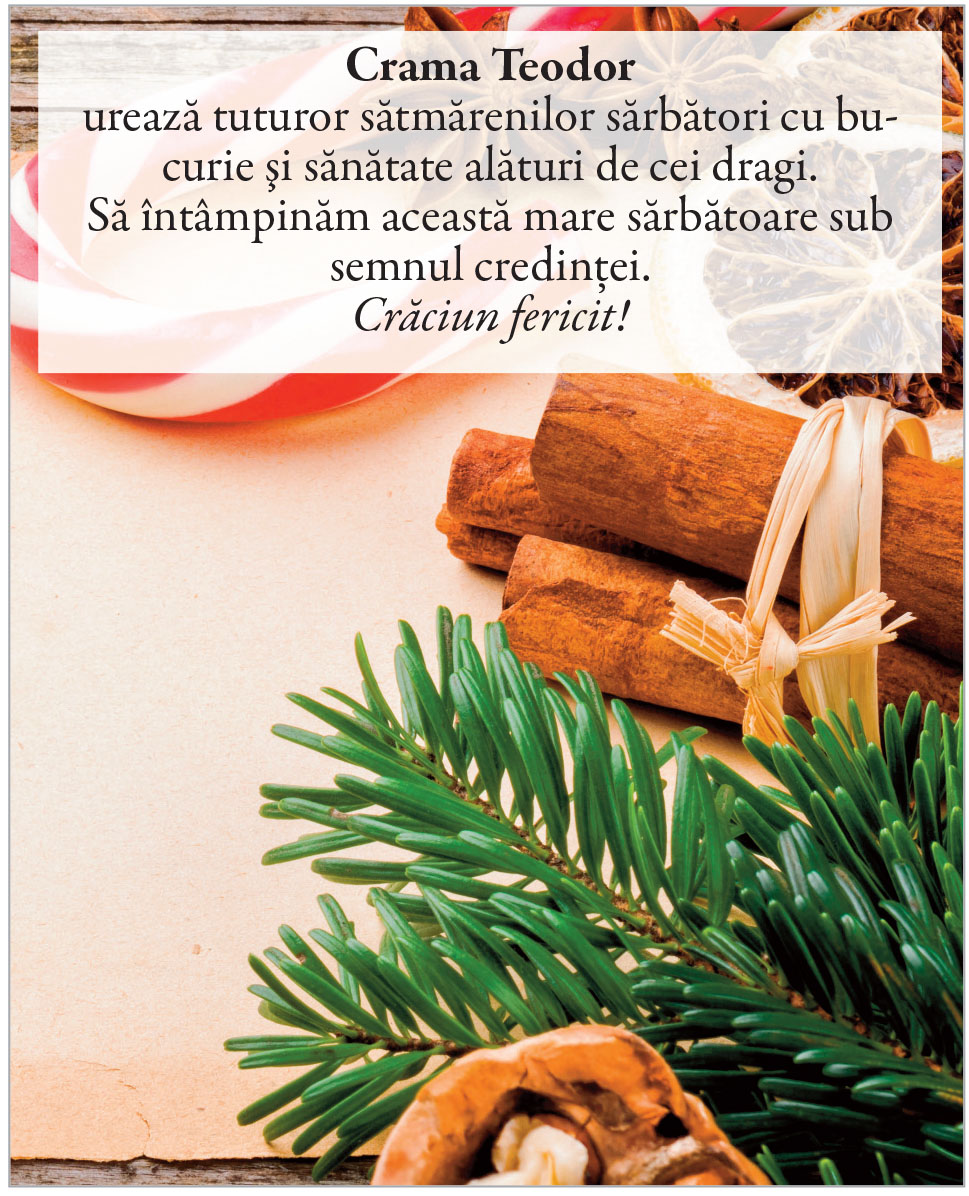 Felicitări de Crăciun 2025!