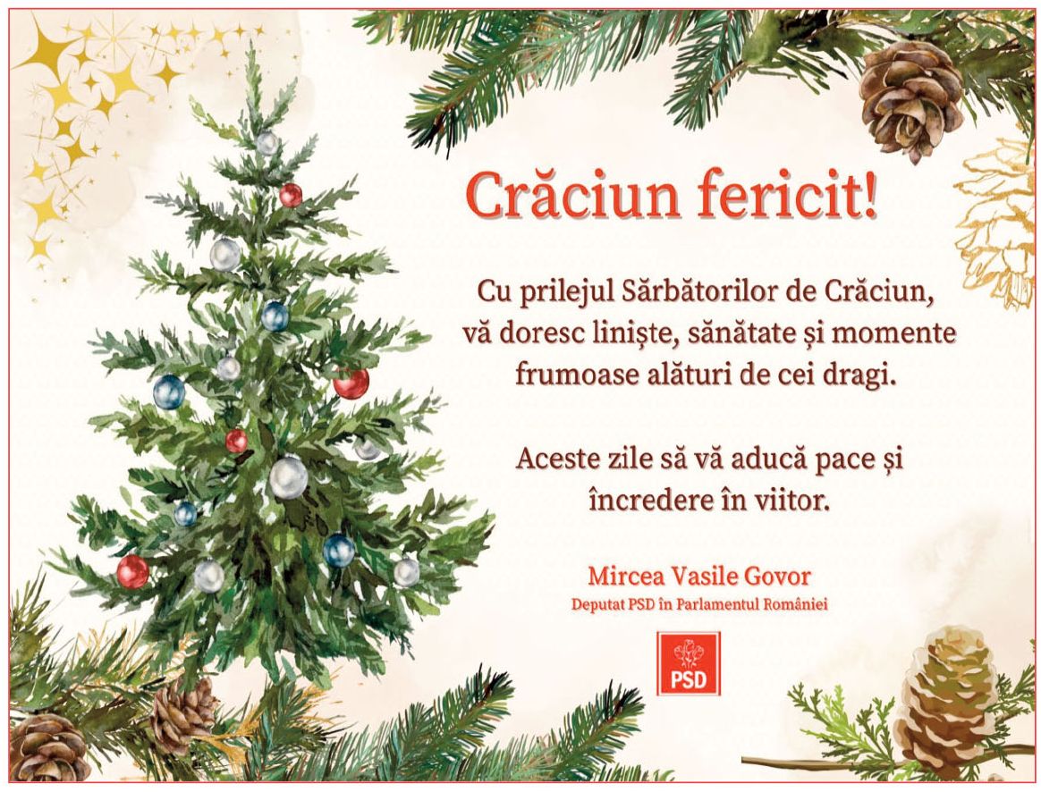 Felicitări de Crăciun 2025!