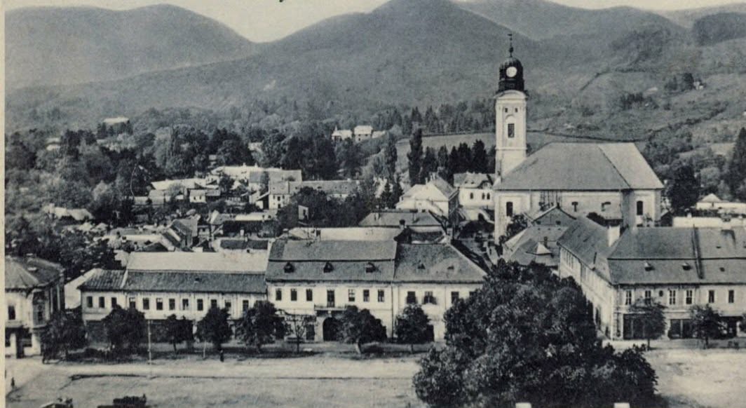 Baia Mare – visul interbelic al unei stațiuni climatice. Ambiții urbane, medicină modernă și declinul unui proiect uitat