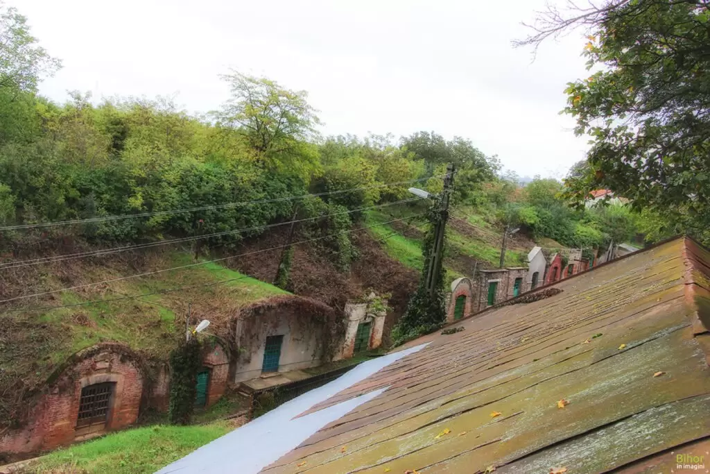 Sălacea – satul celor 1000 de pivnițe, între istorie milenară, vin și noblețe medievală