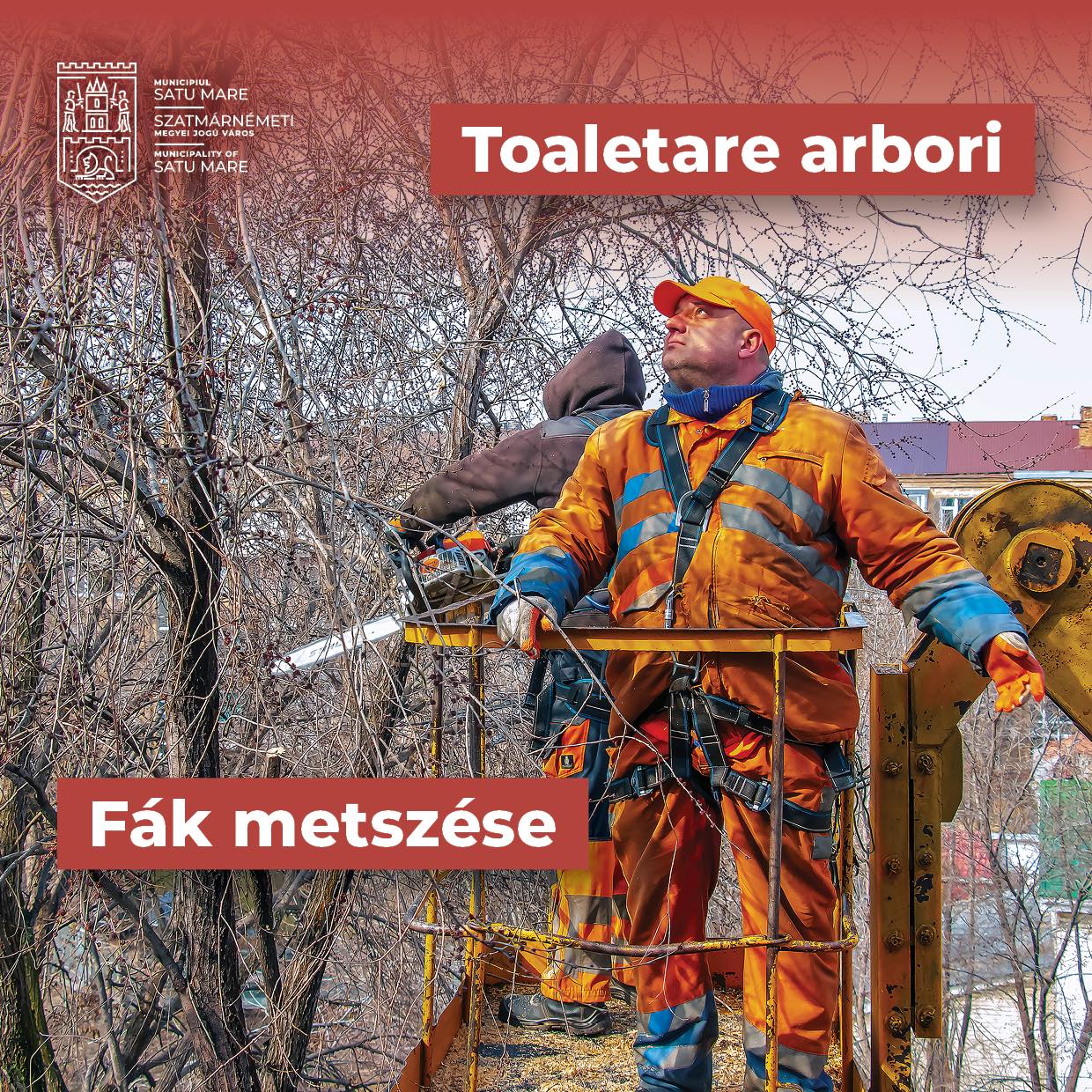 Lucrări de toaletare a arborilor pe strada Aurel Popp