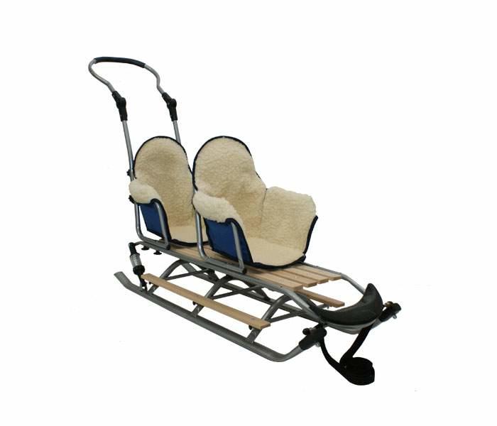 Criza săniuțelor și marea deszăpezire de Satu Mare