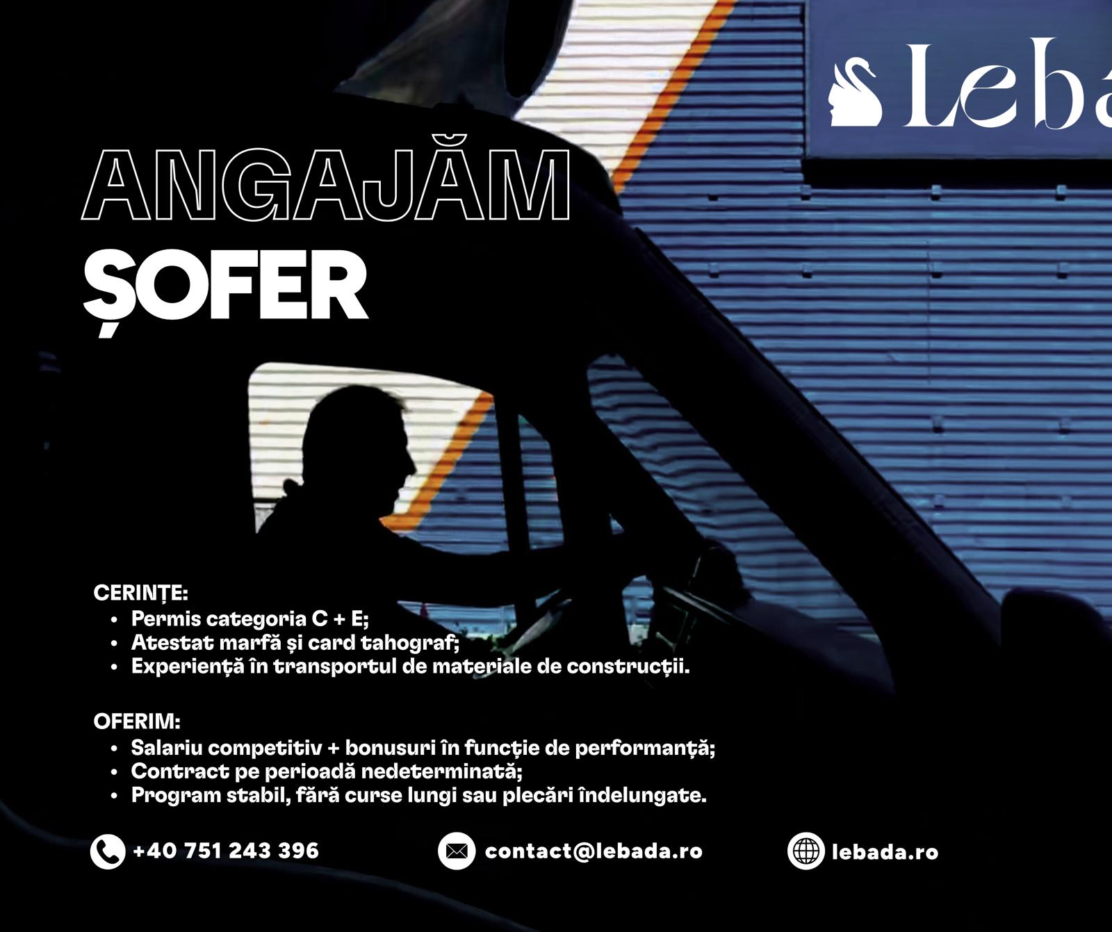 Lebăda angajează ȘOFER categoria C + E