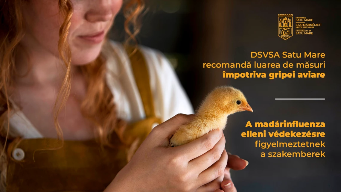 Set de măsuri împotriva gripei aviare la Satu Mare