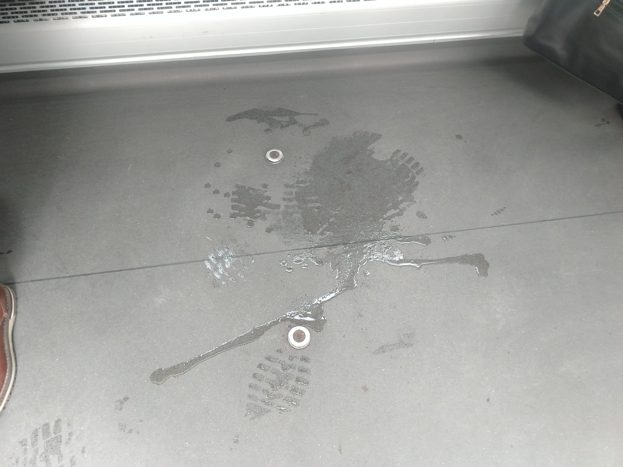 Satu Mare, orașul unde norocul îți iese în cale… la propriu