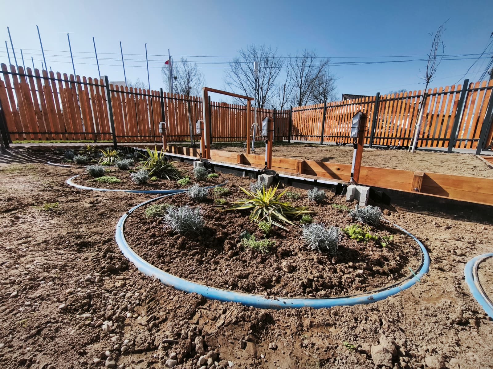 FOTO. MEDIU. Proiect inovator la Livada: prima grădină de ploaie din județul Satu Mare, model de adaptare climatică