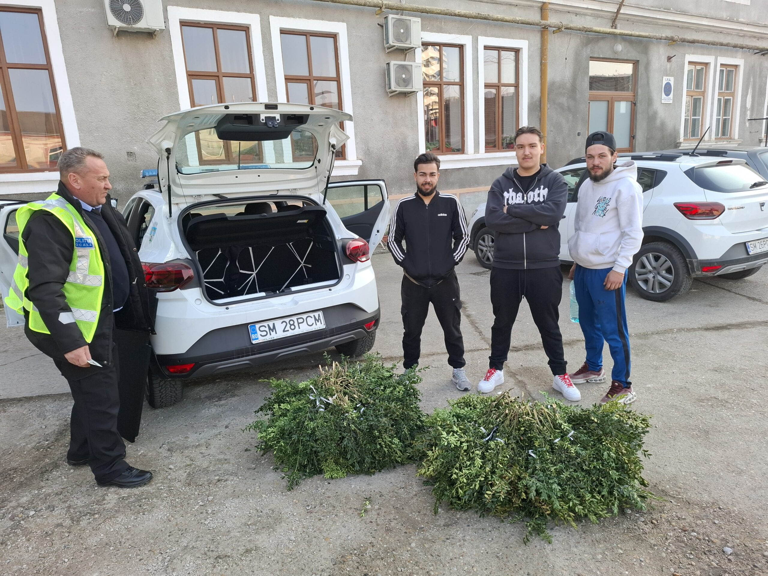 Tineri surprinși tăind vegetația ornamentală din Parcul Vasile Lucaciu pentru a o vinde unei florării