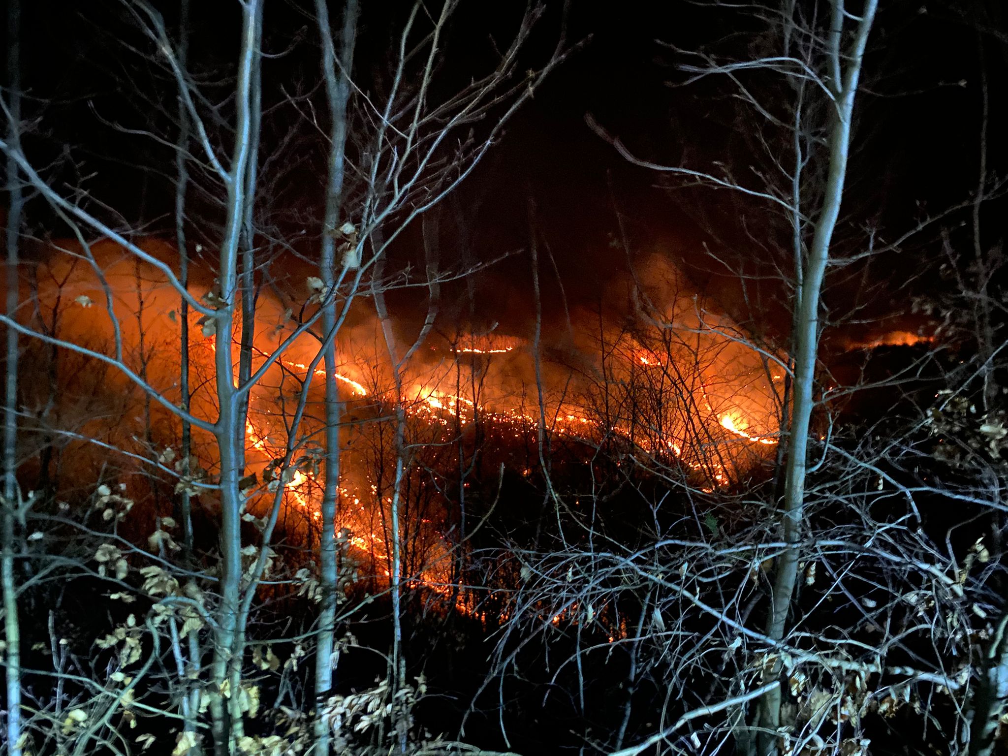 Incendiu de vegetație la Racșa: pompierii luptă de peste 7 ore cu flăcările pe 50 de hectare