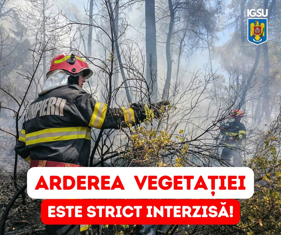 ILEGAL. Primele incendii de vegetație din acest an: autoritățile reamintesc că arderea miriștilor este strict interzisă
