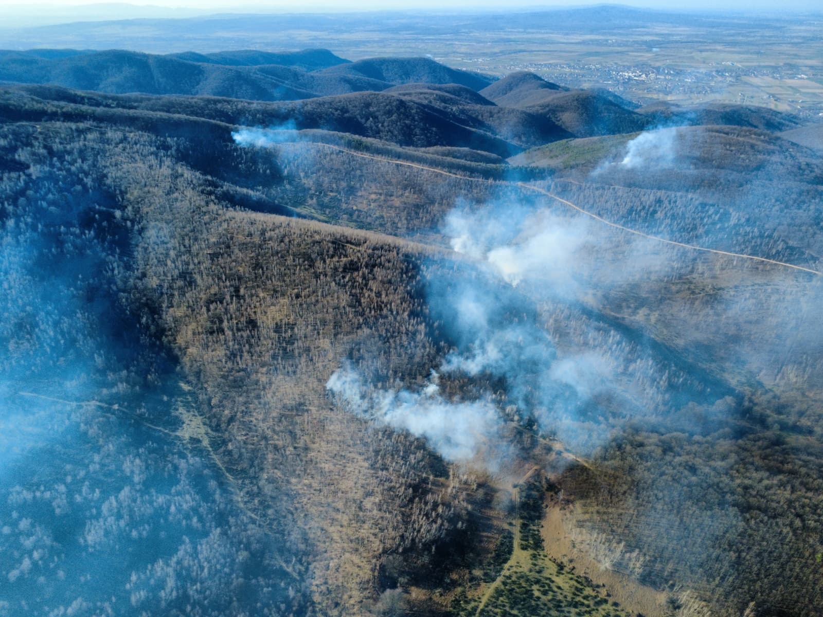 Weekend de foc  în județul Satu Mare