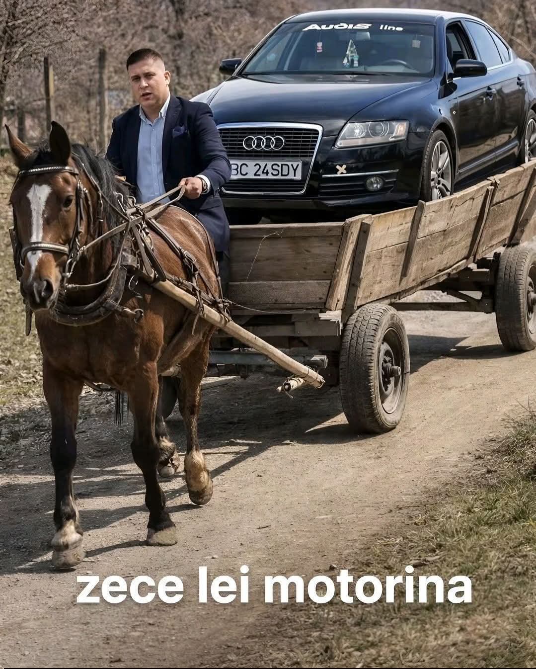 De la cai putere la… cai adevărați (și nici ăia ieftini)