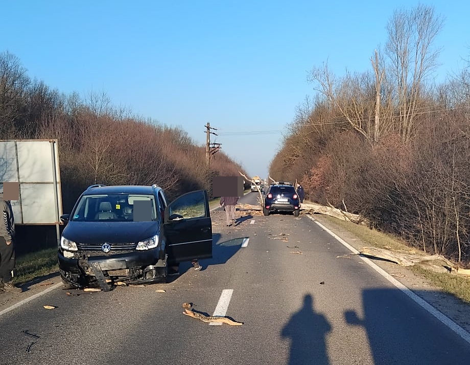 INCIDENT Copac prăbușit pe asfalt în Țara Oașului: o autospecială de jandarmi, printre vehiculele lovite