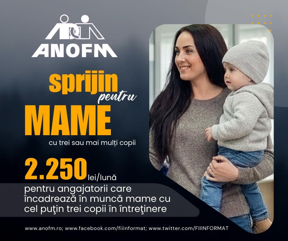 OCUPARE Subvenții pentru angajatorii care încadrează mame cu trei sau mai mulți copii